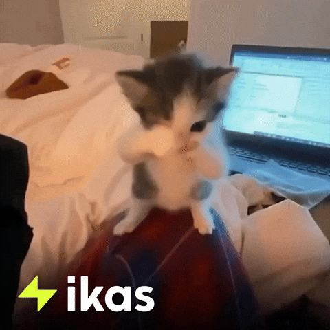 Kitty Dancing GIF by ikas