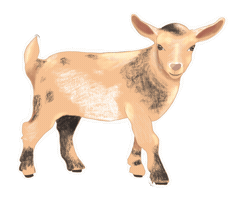 Goat Sticker
