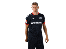 Bayer 04 No GIF by Bayer 04 Leverkusen