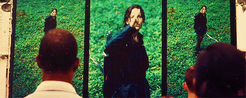 Hunger Games GIF - Hunger Games - Discover & Share GIFs