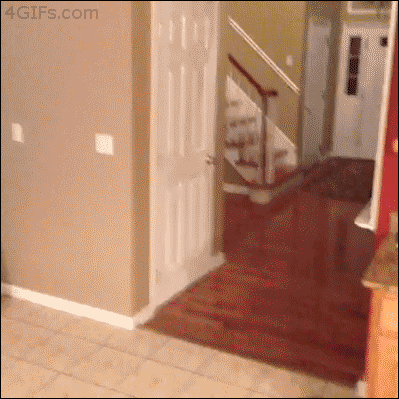 door falling GIF