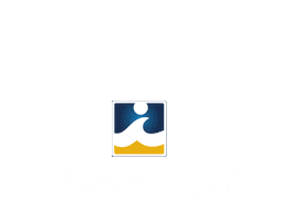 Shineonlocal Sticker by Intracoastal Realty