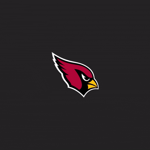Patrick Peterson GIF by Arizona Cardinals