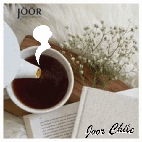 Joor Chile GIF