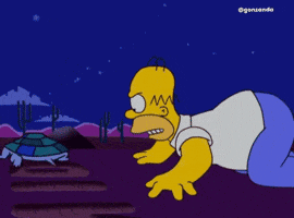 Homero Simpson Simpsons GIF