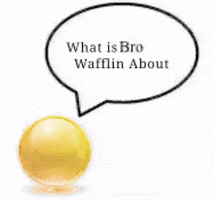 Text What GIF
