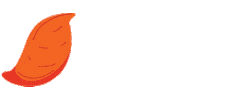 101beforeone Sticker