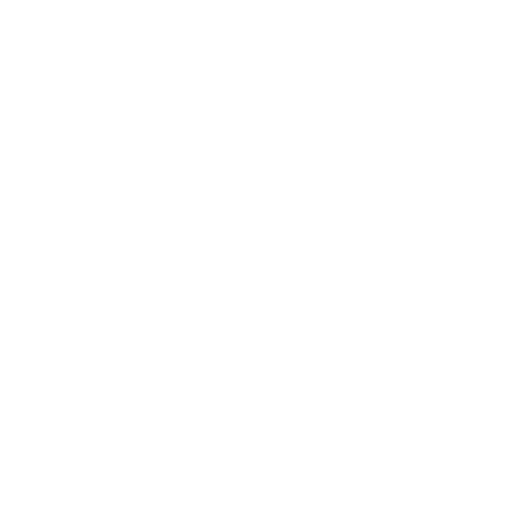 broadrippleindy Sticker
