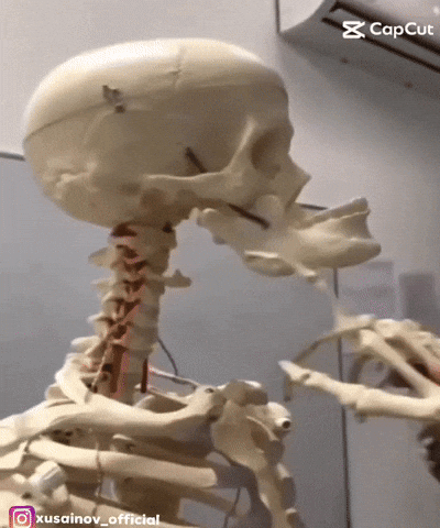 Bye Bye Skeleton GIF