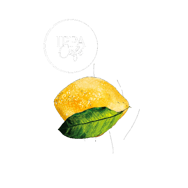 ippacafeprague Sticker