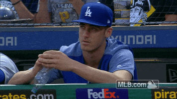 Los Angeles Dodgers Fighting GIF by MLB