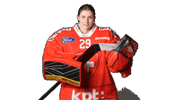 Celebrate National Team Sticker by Swiss Ice Hockey