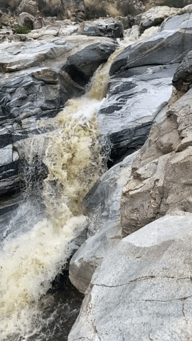 Nature GIF
