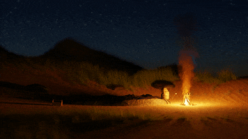 Biblified bbq campfire bonfire marshmallows GIF