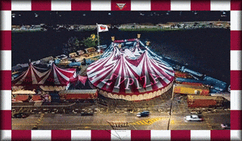 Tsirko Syriza GIF