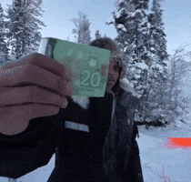 Money Winter GIF