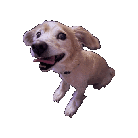 Happy Fun Sticker