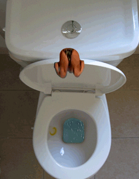 Posted Image