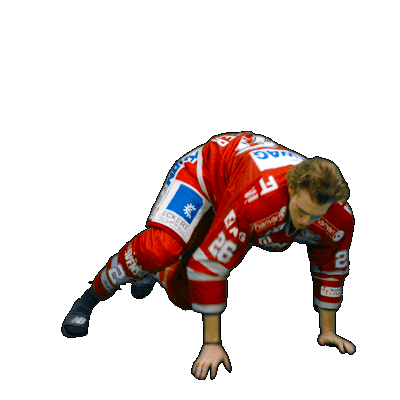 Hockey Del2 Sticker by Eisbären Regensburg