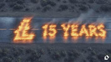 Back To The Future Litecoin GIF by LitVM