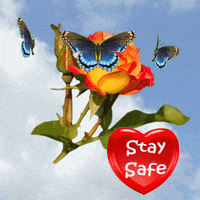 Stay Safe Take Care GIF