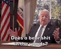 Does A Bear Shit In The Woods GIF by GIPHY News