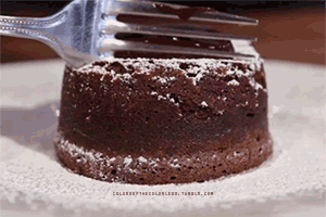 Chocolate cake or chocolate icecream