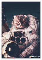 Cool Cat Space GIF by MyPostcard