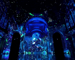 Nyc Mesmerizing GIF by Moment Factory
