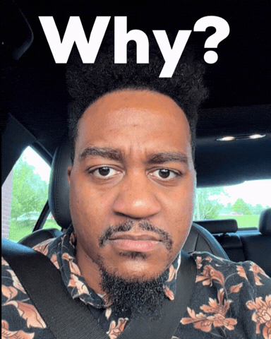 Attitude What GIF