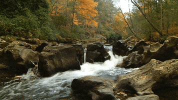 tallulah river fall GIF by Jerology