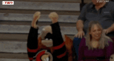 Video gif. Person wearing a Spartacat costume, the mascot of the Ottawa Senators, throws its head back and covers its face, reaching its arms up in the air like, "Why?!'