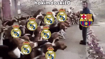 Real Madrid Fans GIF