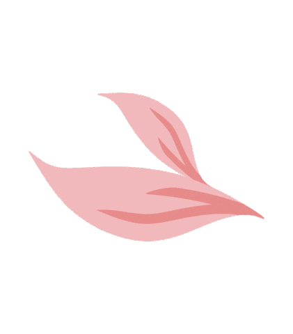Plant Rosa Sticker by Composer Locações