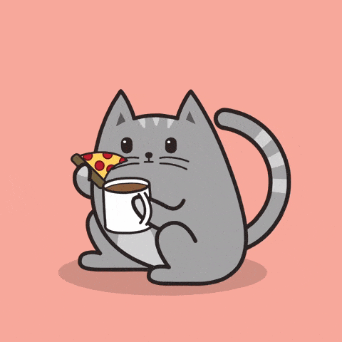 Cat Coffee GIF by Meowingtons