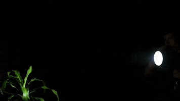 Tools420 GIF