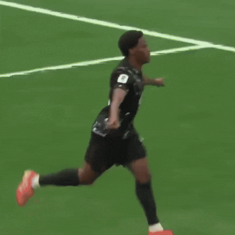 Fifa World Cup Football GIF