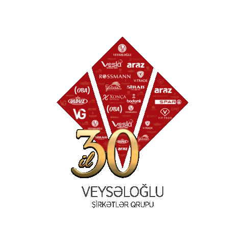 Veysəloğlu Şirkətlər Qrupu Sticker