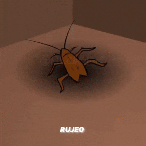 Mahoroga GIF