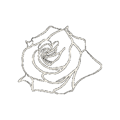 roseslaceshop Sticker