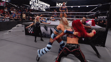 Wwe Nxt Fight GIF