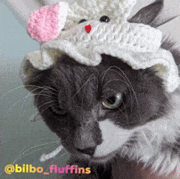 Bilbofluffins GIF