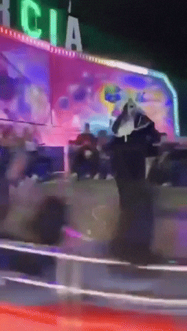 Babulya GIF