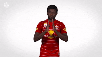 Red Bull Thank You GIF by FC Red Bull Salzburg