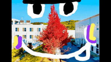 Fall University GIF by KaoruHironaka
