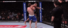 Throw GIF