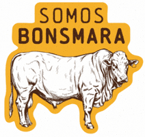 Bonsmara Argentina GIF