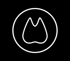 QuickSmile GIF