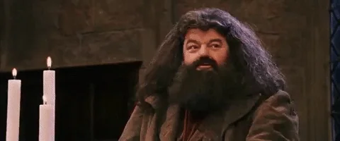  happy excited yes harry potter hagrid GIF