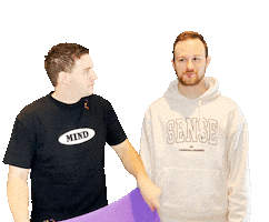 Electrisize Festival Sticker